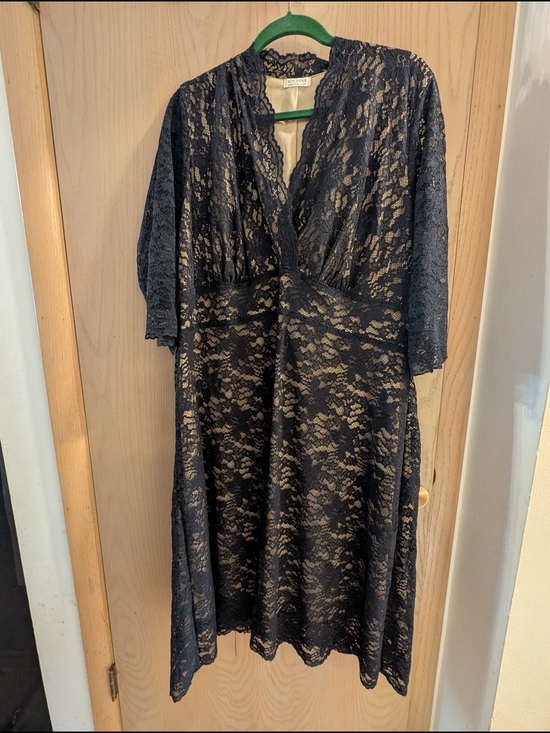 Kiyonna Dresses & Skirts - Kiyonna Lace V-Neck Overlay Dress in Black/Beige